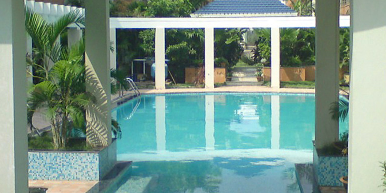 Blue lily swimming pool
